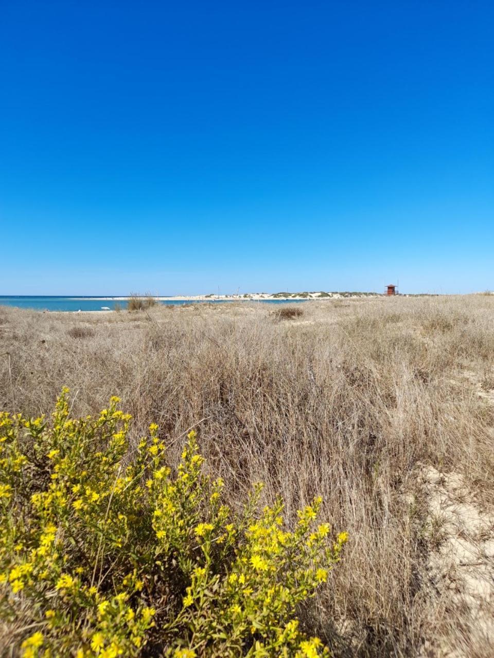 Apartamento Playa La Barrosa Чиклана-де-ла-Фронтера Экстерьер фото